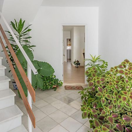 Casa Los Naranjos en Vejer Vejer de la Frontera Exterior foto